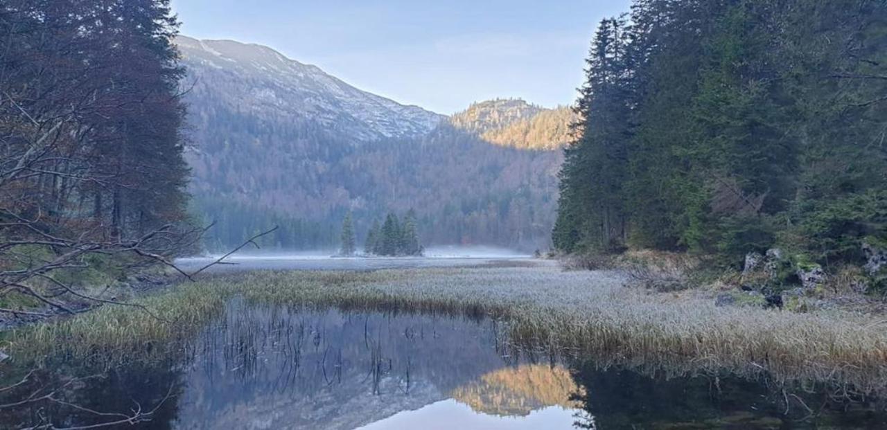Ledererhof Lunz Am See Lunz am See Exterior foto